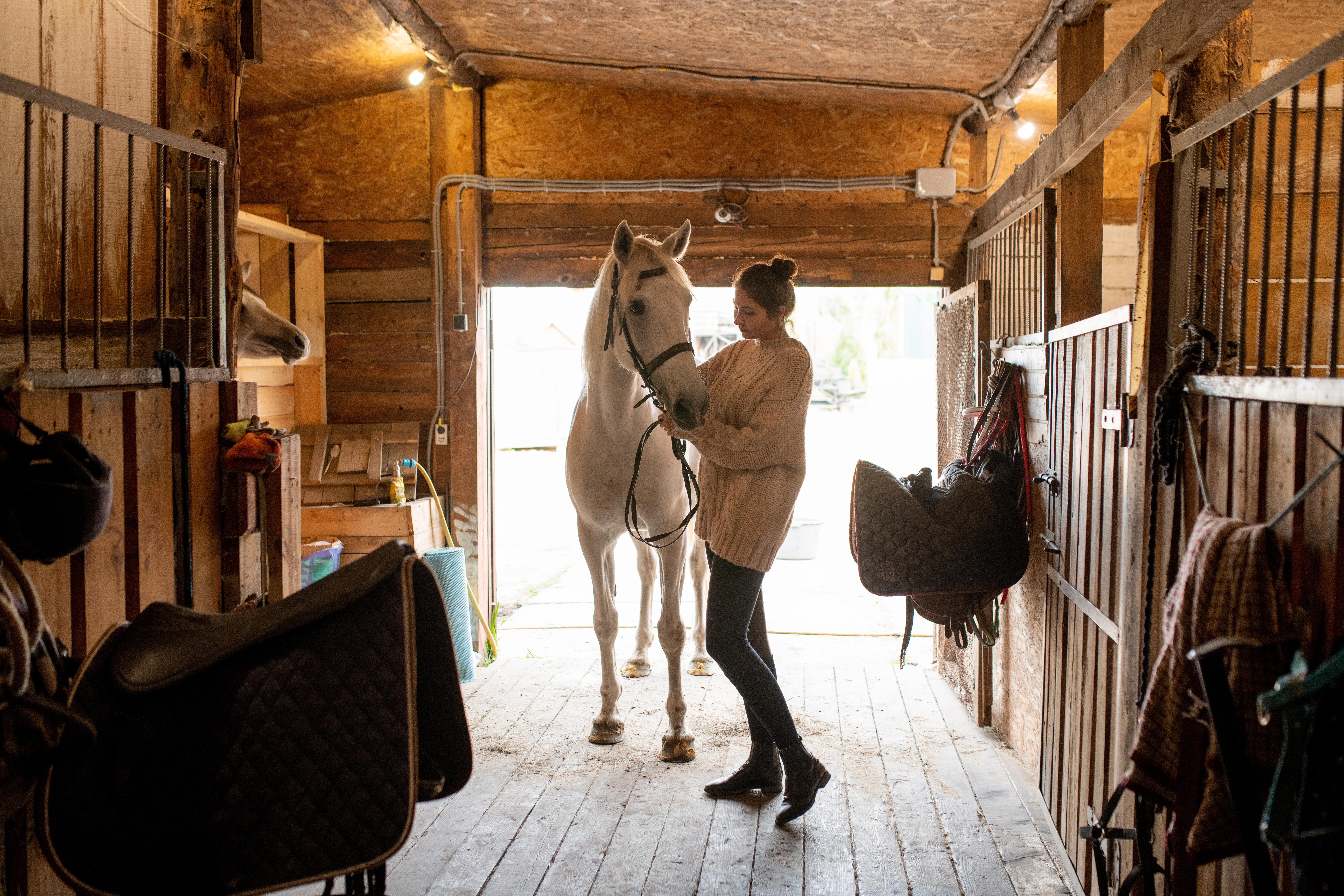 A woman stands inside a barn, leading a white horse.